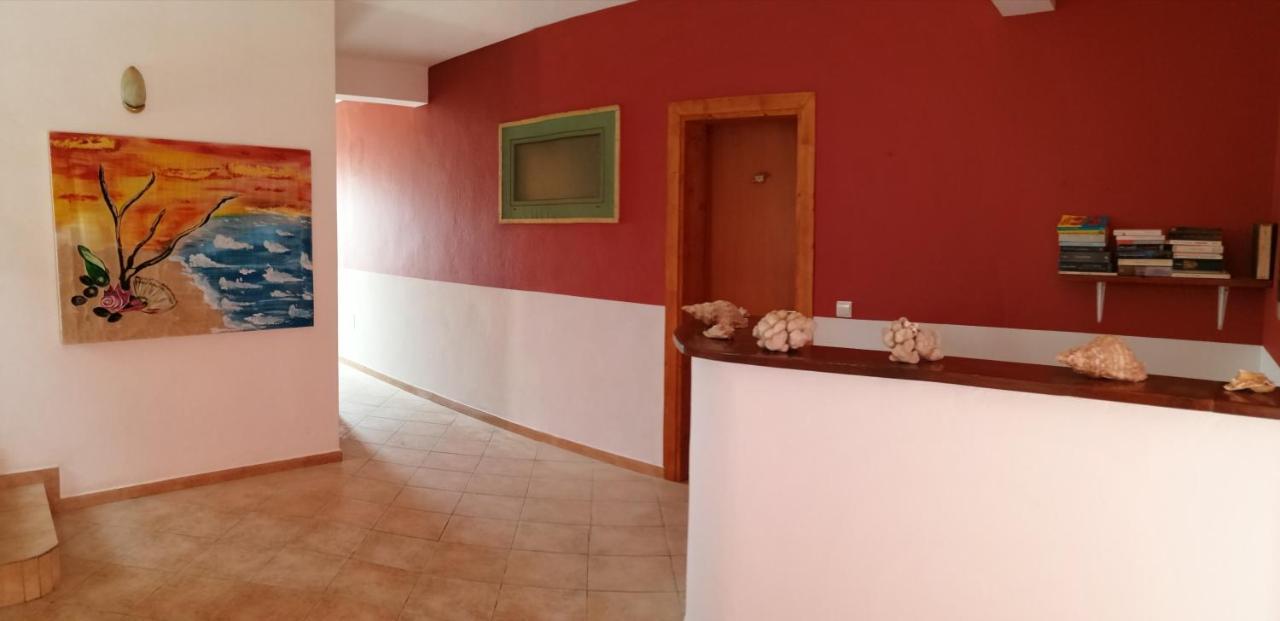 B&B Salinas Boa Vista Wifi Free 萨尔雷 外观 照片